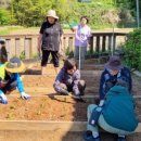 여자만마을 네이버블로그