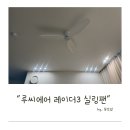 달우물 | [거실 인테리어] 내돈내산 - 루씨에어 레이더3 실링팬 한달 사용 후기