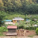 풍차마을 민박 이미지