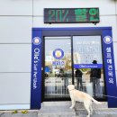 올리스 아시아드점 | 인천 아시아드 대형견목욕 시설 및 요금 후기