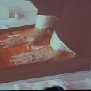 애니카프라자 이미지