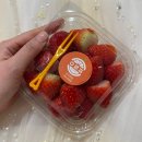 아우라 | 대구 가성비 결혼 준비 아우라스튜디오 웨딩 촬영 후기