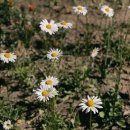 분당더팰리스 산후조리원 이미지