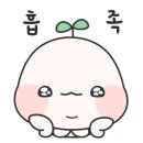 원재네포도밭