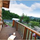 돌배나무 세그루 이미지