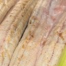 재열수산 영어조합법인