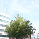 성덕고시원