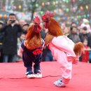 세계의 창 Daum카페