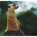 해우 행정사 사무소 이미지