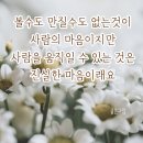 작은거인 tv 에 칠봉이품바 방문 이미지