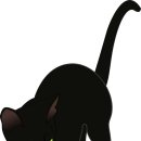 gatto