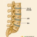 으샤신경외과의원 이미지