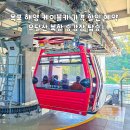 해양대학로 | 목포 해양 케이블카 가격 할인 예약 유달산 북항 승강장 탑승