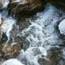 무주해바라기펜션호스텔 이미지