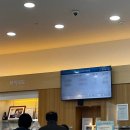 석촌미소약국 | 서울아산병원 인근 석촌호수 일식 갈치덮밥 점심 맛집 토오코 메뉴 주차 웨이팅