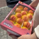 남산1리 | 복숭아의 고장 경북 영덕에서 즐긴 복숭아장터 정보 후기 | 경북영덕군