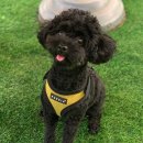 폴리파크 반송점 이미지