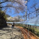 장수의료기 | 서대문구 황토길 명소 천연황토행복카페 (안산반려견 놀이터, 서대문 안산 황톳길)