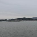 신안오토 이미지