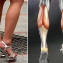 손태석 발가락운동용구 이미지