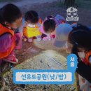 숲속마을어린이공원 (옥외1) | 서울 영등포구 선유도공원 아이와 가을 숲체험 추천! 깨비의숲마을 체험학습 솔직 후기