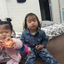 유주농장 이미지