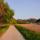 흑석 노루벌길 이미지