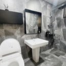 플레이독애견카페 이미지