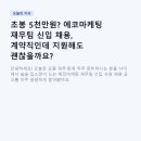 초봉 5천만원? 에코마케팅 재무팀 신입 채용, 계약직인데 지원해도 괜찮을까요?