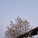 용소 보건진료소 이미지