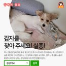 효신시장 네이버블로그