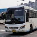 와이드대성 이미지