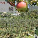 은영가족농장 이미지