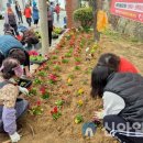 춘천시 치매안심센터 이미지