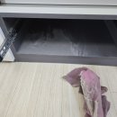 이든타워펠리스 네이버블로그