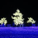 서면시장 이미지