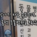 쿨펫(평촌) 이미지