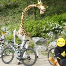 중명생태공원 이미지