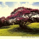 부산진우체국 이미지