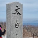 태백산 설경 산행했어요😊 이미지