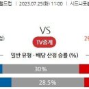 7월25일 여자 월드컵 자료정보 이미지