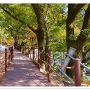 해인사 소리길 이미지