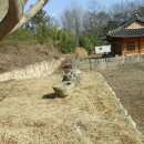 개천사 부도군 이미지