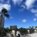 Day 8 in Hawaii ft. 하와이 호놀룰루 공항에서 대한항공 탑승 후기 &amp; 하와이 기념품 🍪🏝️
