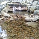 도모지골 이미지