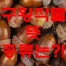 구황작물 이미지