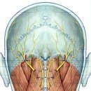 경희몸편한한의원 이미지