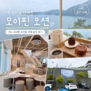 벨라지오호텔 별관 | [여수 돌산 카페] 비 오는 날 더 좋았던 모이핀 오션 내돈내산 솔직 후기