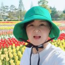 주식회사 팜위드