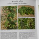 도원2농장 이미지